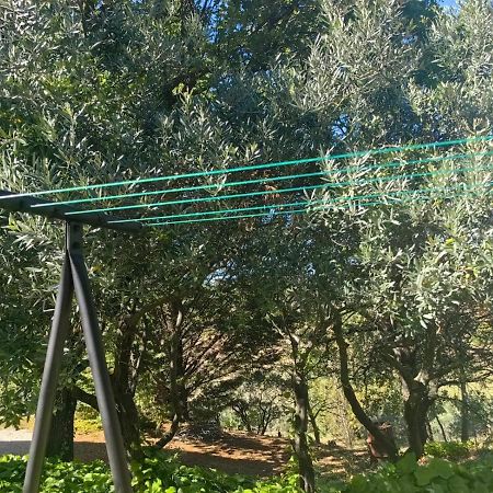 Petit Coin De Paradis En Provence Aups Εξωτερικό φωτογραφία